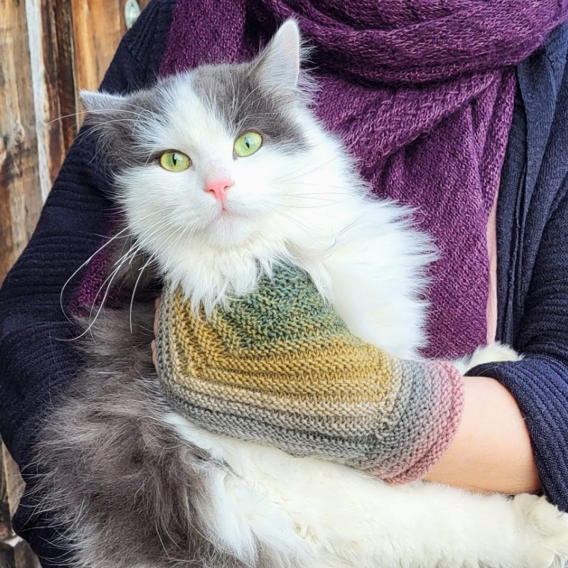 Fertige Handwärmer Variante 1 mit Katze